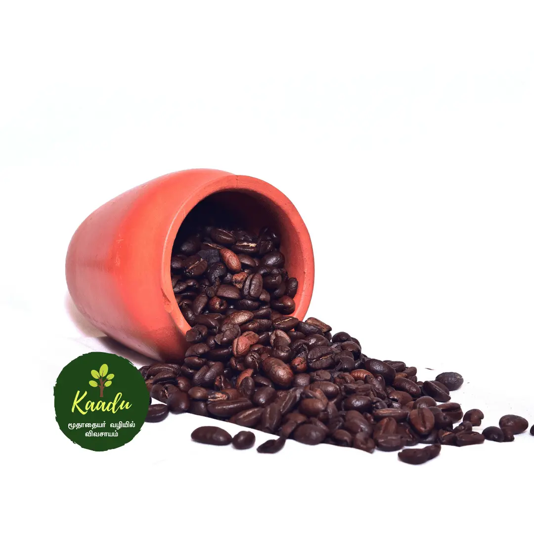 Roasted Coffee Beans spread on the floor,prepared from our own estate.