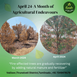 Kaadu farm Activities