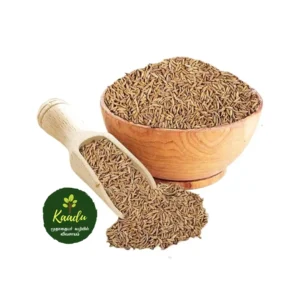 cumin seeds / jeera kept in a bowl