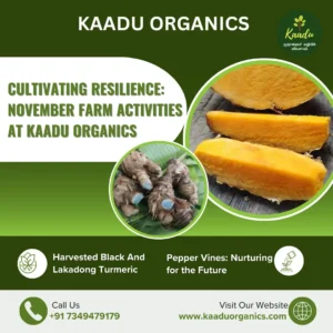 November's farming activities focused on planting, harvesting, and nurturing crops, embodying sustainable organic farming practices.