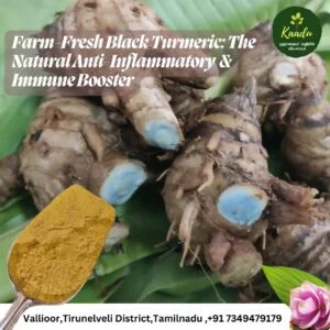 Farm-Fresh Black Turmeric: The Natural Anti-Inflammatory & Immune Booster