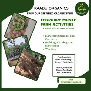 image of feb25 farm activities at kaadu farm